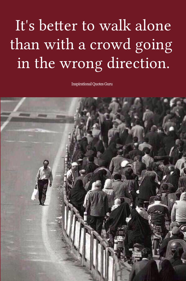 39100387_2148003401885892_2384662251870093312_n