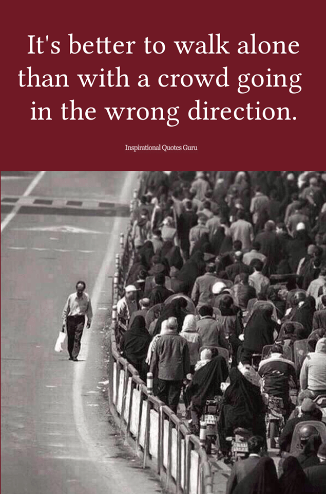 39100387_2148003401885892_2384662251870093312_n